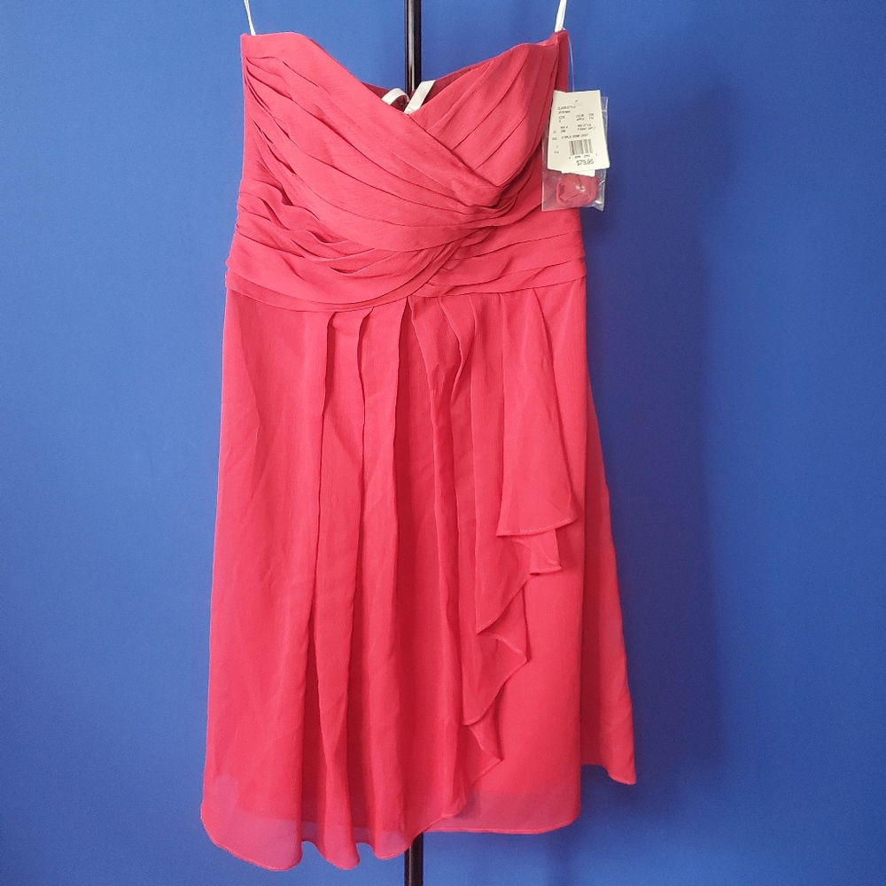David's Bridal Bridesmaid Dress (APPLE)